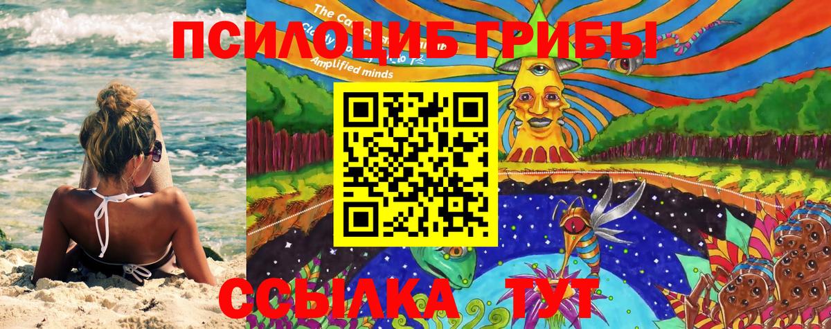 Галлюциногенные грибы GOLDEN TEACHER  Вход с VPN  Галлюциногенные грибы GOLDEN TEACHER  Звенигород 